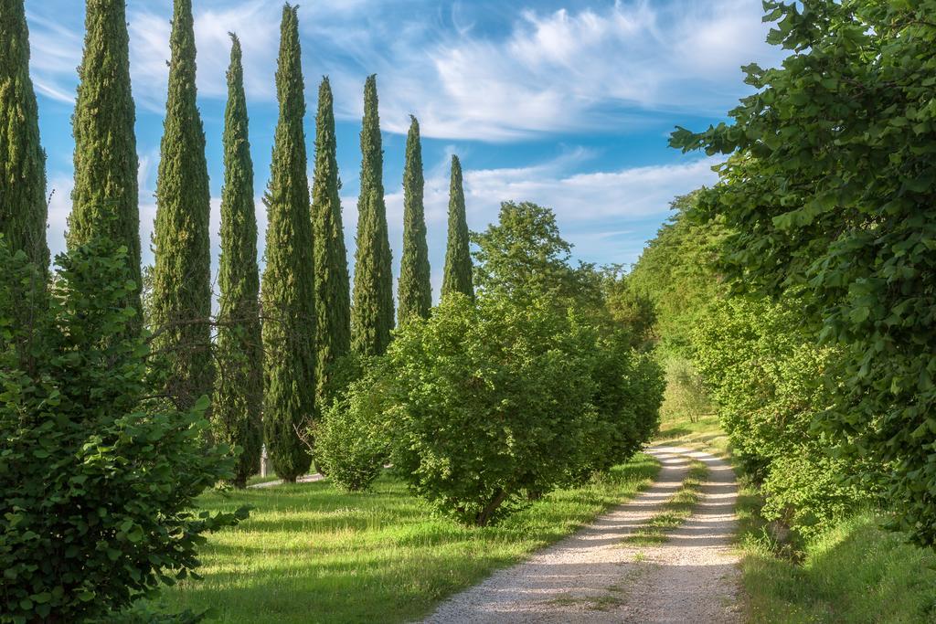 Fattoria Di Vibio Hotel Monte Castello di Vibio Luaran gambar